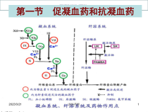 西医药理学作用于血液和造血系统药课件