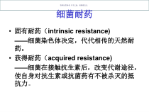 细菌耐药医学宣教课件