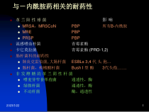 酰胺药相关的耐药性革兰阳性球课件