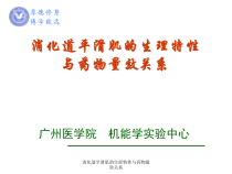 消化道平滑肌的生理特性与药物量效关系课件