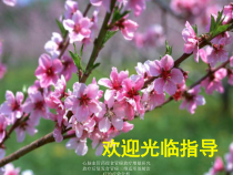 心脑血管药理食管癌放疗增敏研究放疗后复发食管癌三维适形放射治疗的疗效分析课件