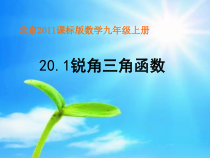 《20.1 锐角三角函数》PPT课件3-九年级上册数学北京版