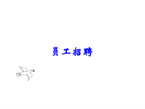 人力资源培训课件之员工招聘培训资料