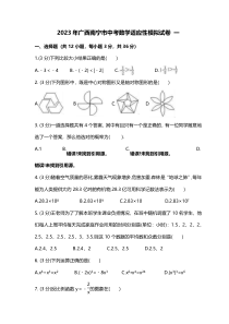2023年广西南宁市中考数学适应性模拟试卷一(2份打包，教师版+原卷版)