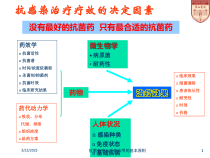 抗菌药物治疗性应用的基本原则培训课件