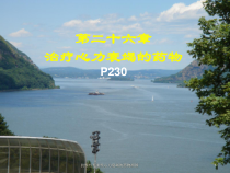 抗慢性充血性心力衰竭的药物课件
