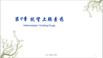 抗肾上腺素药课件2