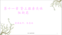 抗肾上腺素药物课件