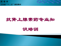 抗肾上腺素药专业知识培训培训课件