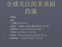 抗生素的临床应用-全球关注的多重耐药菌课件