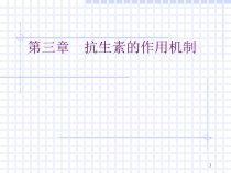 抗生素的作用机制课件