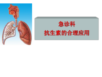 抗生素合理应用全课件