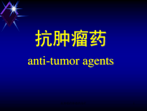 抗肿瘤药肿瘤的治疗课件