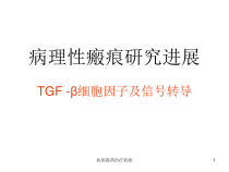 抗组胺药治疗疤痕课件