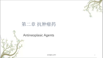 抗肿瘤药课件2