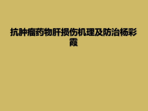 抗肿瘤药物肝损伤机理及防治杨彩霞课件