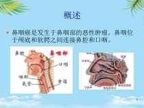 课件-防治鼻咽癌的中药
