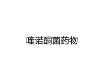 喹诺酮菌药物课件