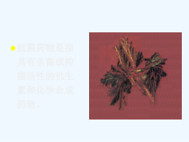 临床常用抗菌药物作用机制课件