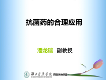 临床药理教学抗菌药物使用现状的调查与分析课件