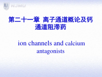 临床药理学钙拮抗药课件