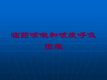 临药咳嗽和咳痰呼吸困难培训课件