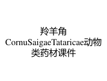 羚羊角CornuSaigaeTataricae动物类药材课件