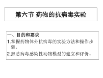 六节药物的抗病毒实验课件