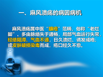 麻风溃疡的中药外治研究课件