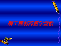 酶工程制药医学宣教培训课件