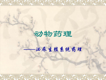 泌尿生殖系统药理课件