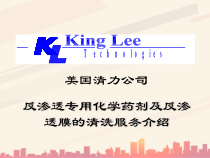 某公司化学药剂及反渗透膜的清洗服务介绍-25张课件