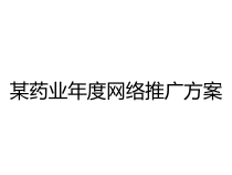 某药业年度网络推广方案课件
