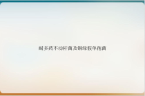 耐多药不动杆菌及铜绿假单孢菌课件