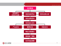 某制药厂地块项目前期策划报告课件
