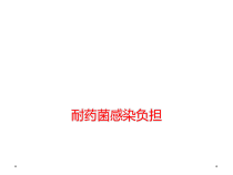 耐药菌感染负担课件