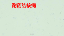 耐药结核病课件