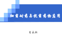 耐药与抗菌治疗课件