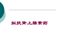 拟抗肾上腺素药培训课件