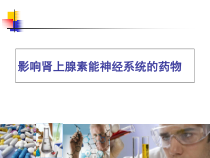 拟肾上腺素药与其合理应用课件