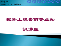 拟肾上腺素药专业知识讲座培训课件
