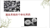 凝血系统的个体化用药探讨课件