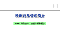 欧洲药品管理简介-DH详解课件