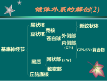帕金森病药物治疗进展课件