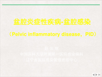 盆腔炎症性疾病盆腔感染全国基层医疗机构抗菌药物合理应用优质版课件
