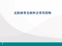 皮肤病常见病种及常用药物医学课件