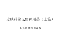 皮肤科常见病种用药店员培训版上篇课件