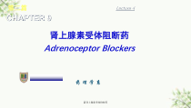 篇肾上腺素受体抑制药课件