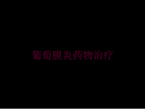 葡萄膜炎药物治疗培训课件