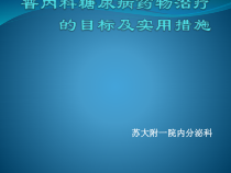 普内科糖尿病药物治疗目标及实用措施课件
